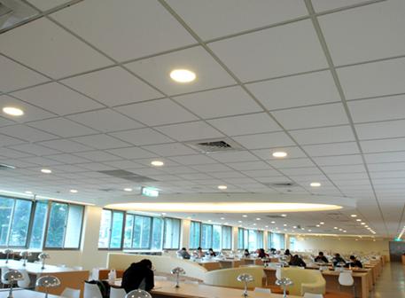 THI CÔNG TRẦN THẠCH CAO NỔI